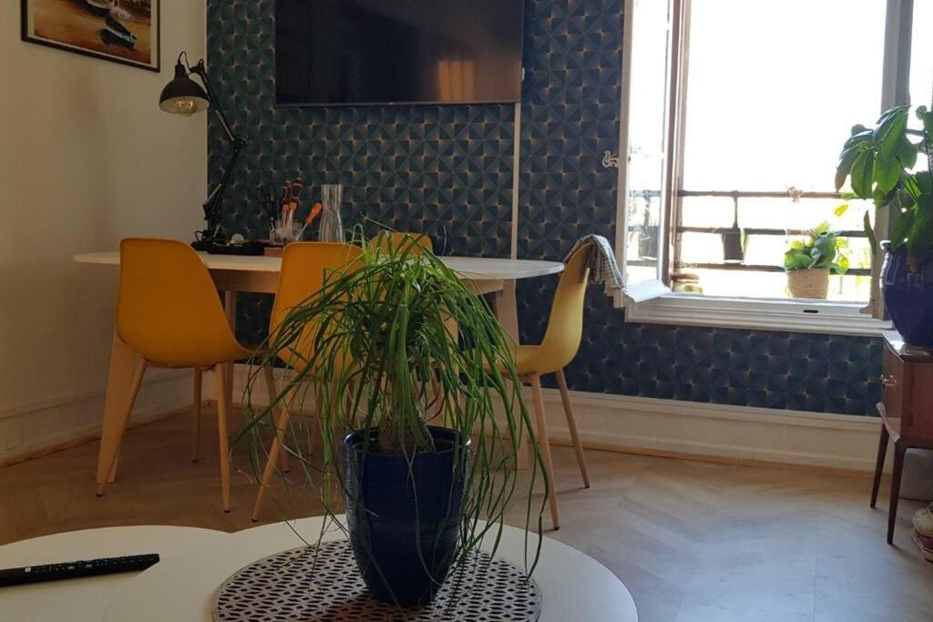 Appartement 300 M Plage Et Port Banyuls-sur-Mer Dış mekan fotoğraf