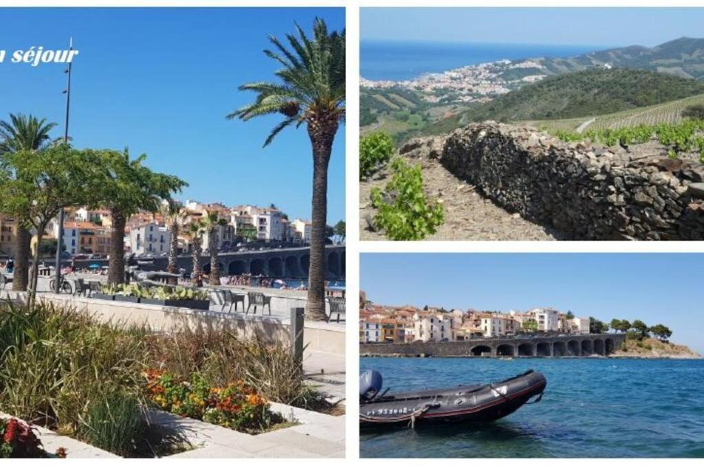 Appartement 300 M Plage Et Port Banyuls-sur-Mer Dış mekan fotoğraf