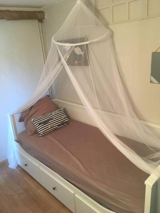 Appartement 300 M Plage Et Port Banyuls-sur-Mer Dış mekan fotoğraf