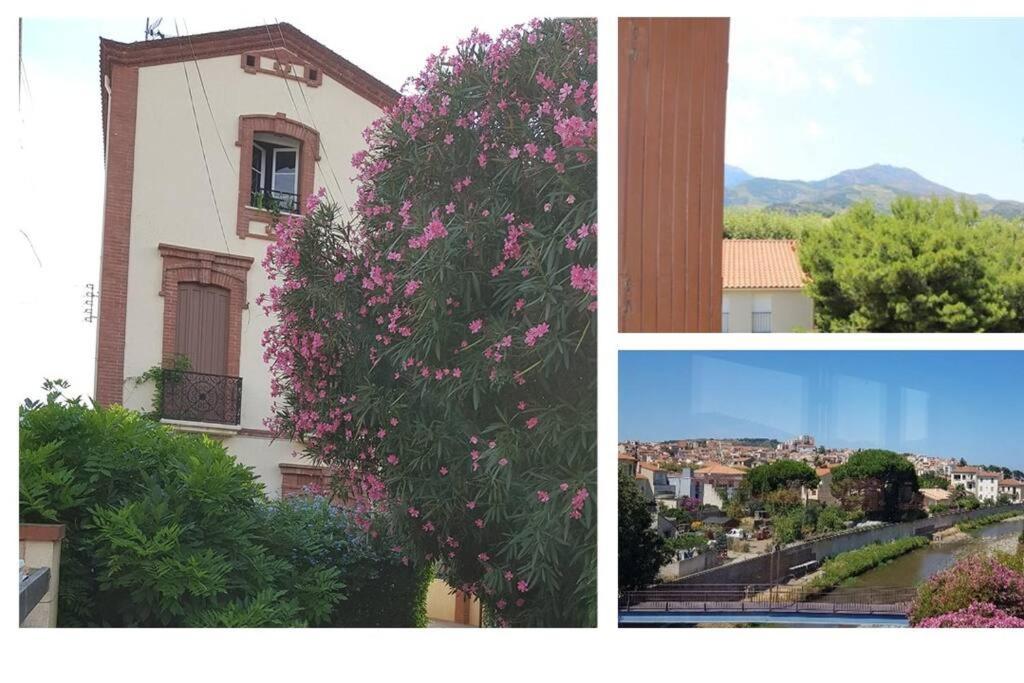 Appartement 300 M Plage Et Port Banyuls-sur-Mer Dış mekan fotoğraf