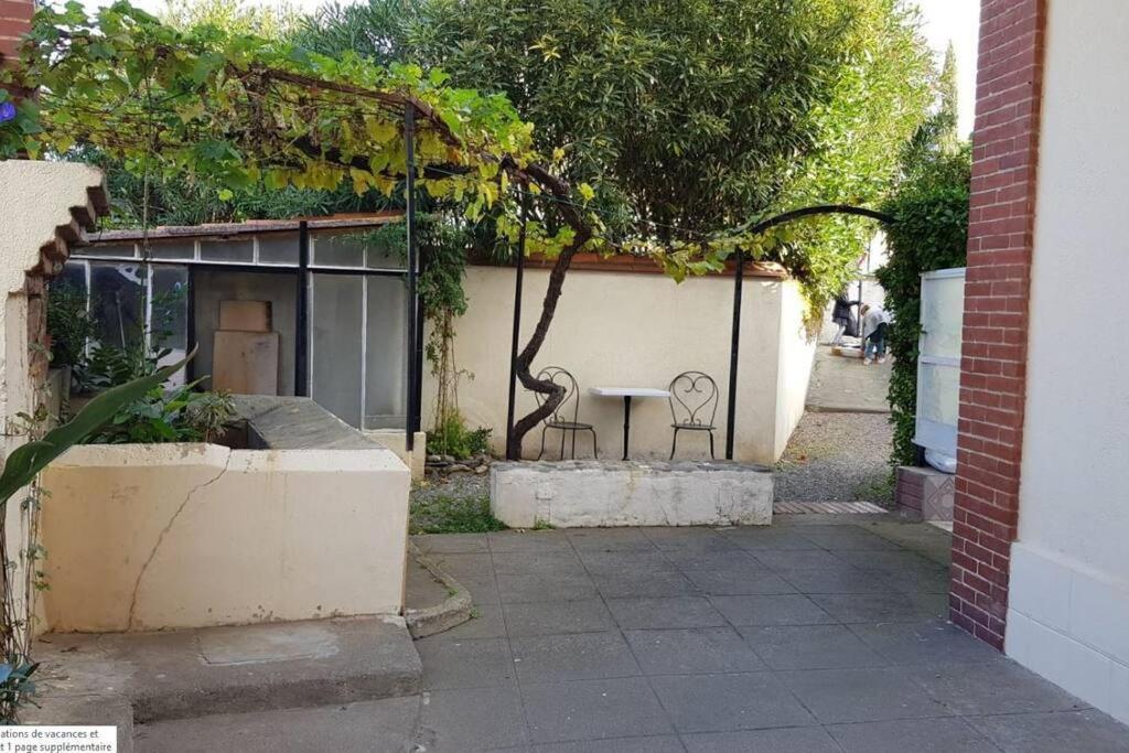 Appartement 300 M Plage Et Port Banyuls-sur-Mer Dış mekan fotoğraf